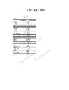 房地产企业资产负债表