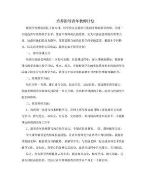 培养指导青年教师计划