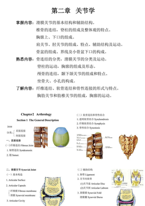 解剖学课件——关节学