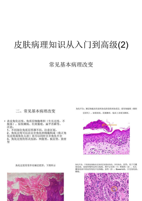 皮肤病理知识从入门到高级(2)