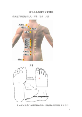 养生必备的穴位有哪些