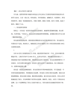 考察学习报告