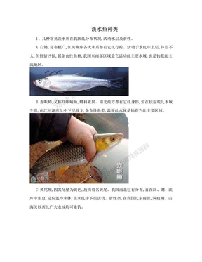 淡水鱼种类