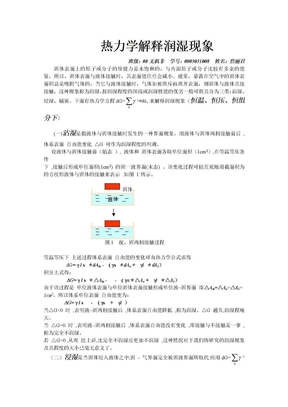 物理化学小论文