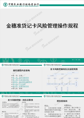 风险管理操作规程（200903）