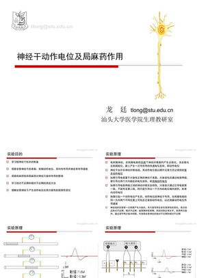 实验二 蛙坐骨神经干动作电位