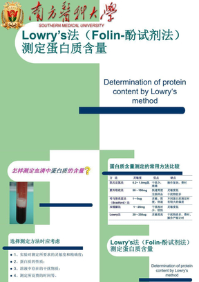 实验1Folin-酚试剂法测蛋白质含量