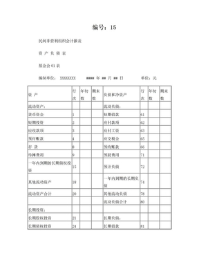 《民间非营利组织会计报表》样表