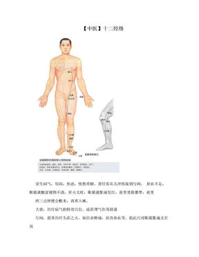 【中医】十二经络