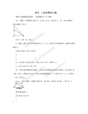 初中 三角函数练习题