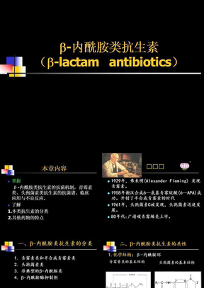 6-β内酰胺类抗生素