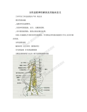 女性盆腔神经解剖及其临床意义