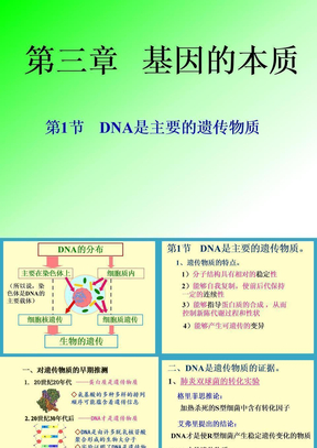 DNA是主要的遗传物质