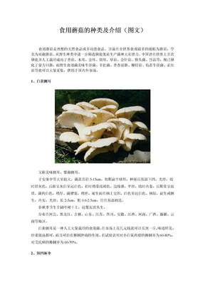 食用蘑菇的种类及介绍