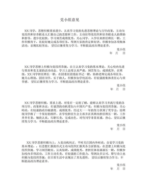 党小组意见(定稿)