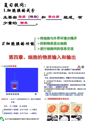 物质跨膜运输实例2011