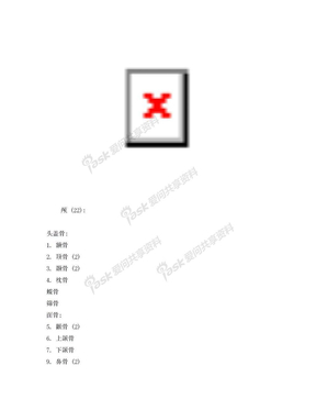 人体骨骼名称图示