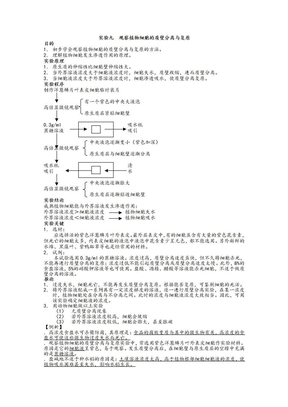 实验九  观察植物细胞的质壁分离与复原