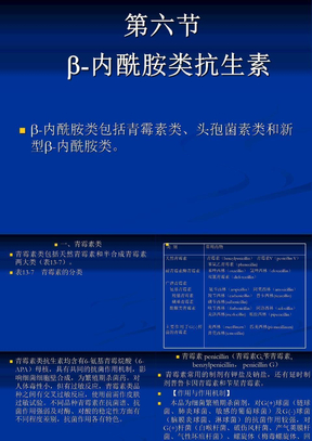 13-6 -内酰胺类抗生素