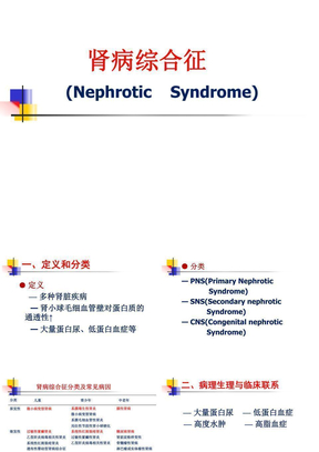 肾病综合症