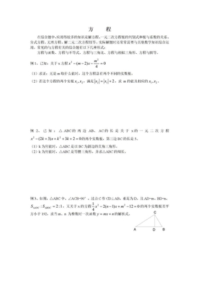 初三数学专题复习（方程）