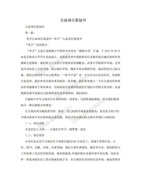 公益项目策划书