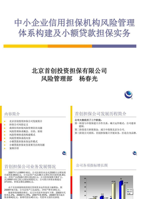 中小企业信用担保机构风险管理体系构建及小额贷款担保实务