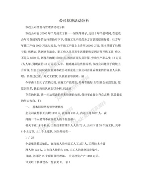 公司经济活动分析