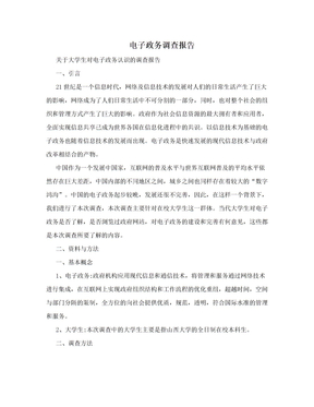 电子政务调查报告