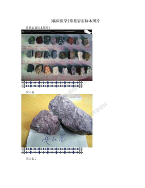 [临床医学]常见岩石标本图片