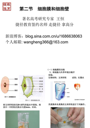 细胞的结构_细胞膜和细胞壁