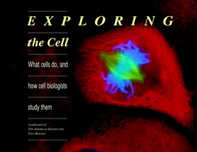 细胞生物学 英文