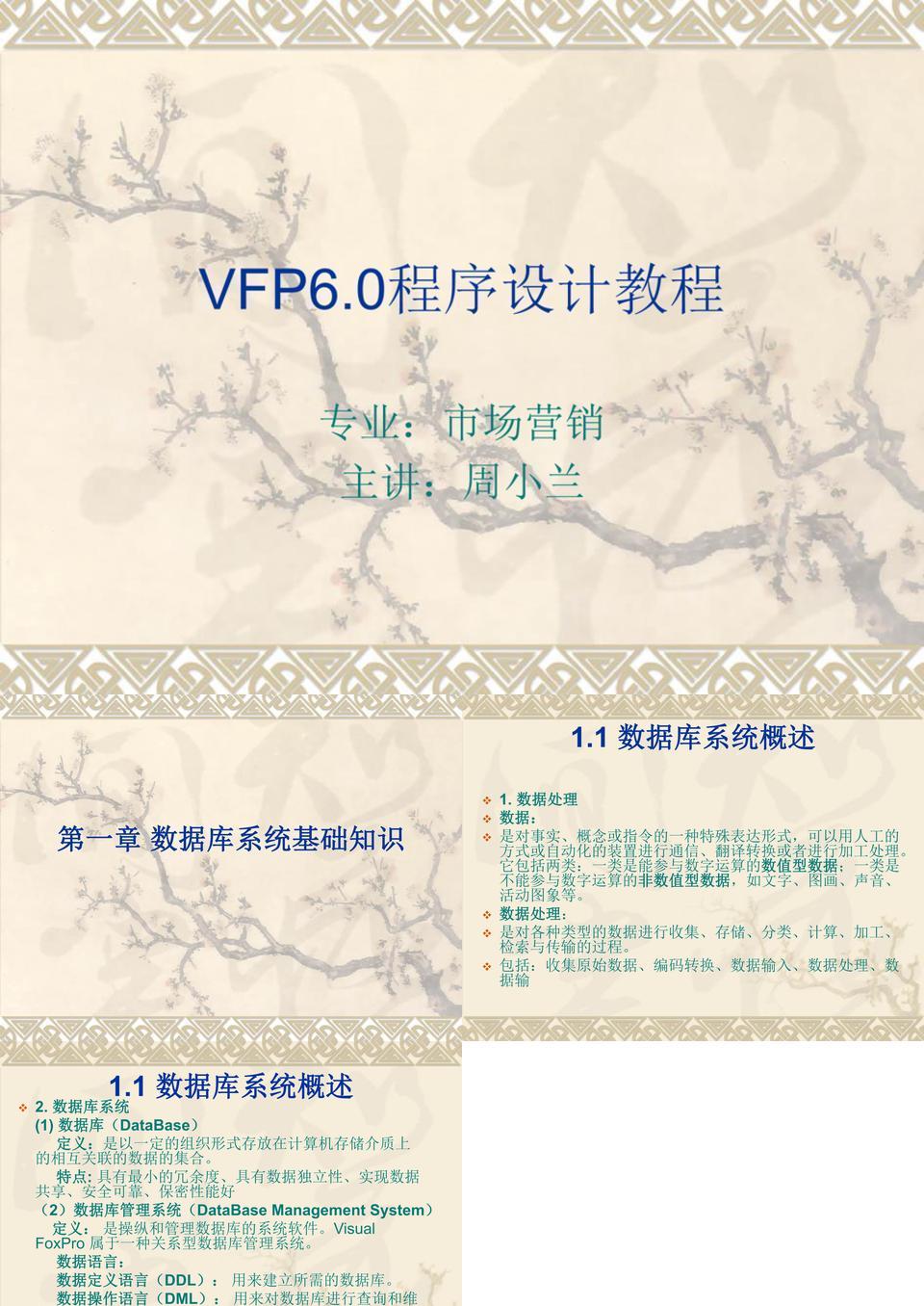 VFP6