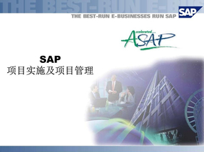 SAP_项目实施及项目管理