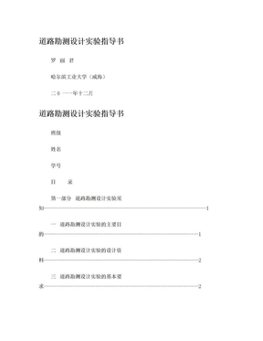 纬地道路实验指导书