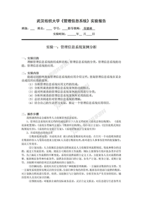 MIS 实验一：管理信息系统案例分析