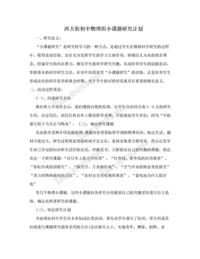 西大街初中物理组小课题研究计划