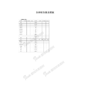 各种财务报表模板