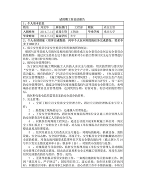 试用期工作总结报告