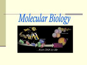 扬州大学《现代分子生物学》_1绪论