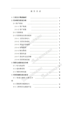 财务分析报告