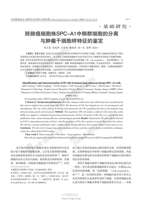 肺腺癌细胞株SPC-A1 中侧群细胞的分离与肿瘤干细胞样特征的鉴定