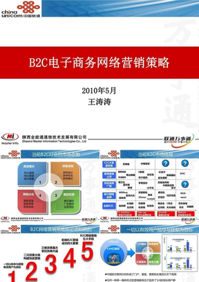 B2C电子商务网络营销策略