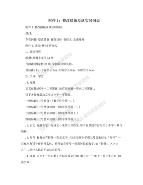 附件1：整改措施及落实时间表