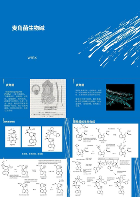 麦角生物碱及其生物合成