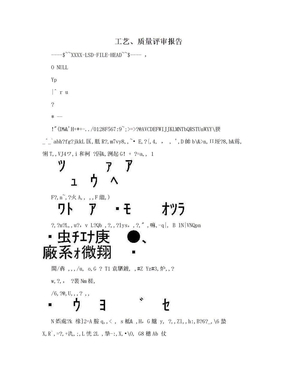 工艺、质量评审报告