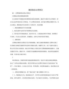 规范执法心得体会