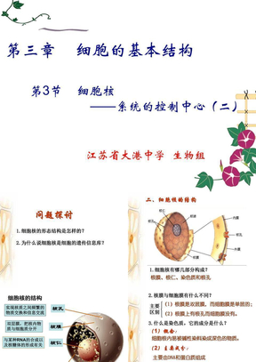 高一生物：必修1：第三章_第三节_细胞核二