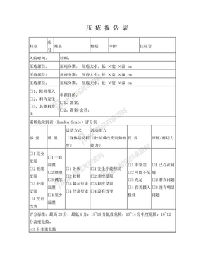 压疮报告表