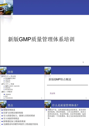 新版GMP质量管理体系培训